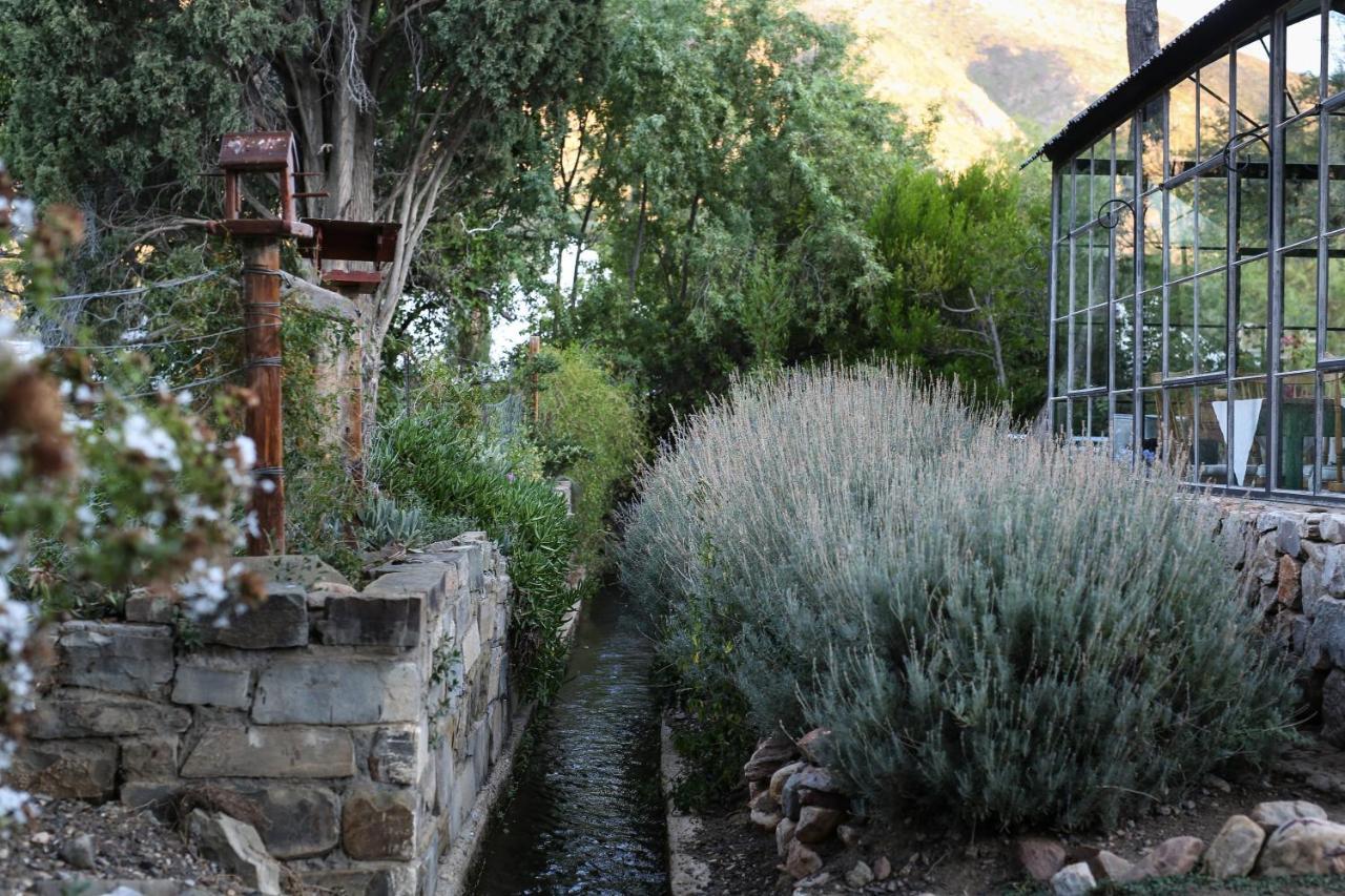 Dennehof Karoo Guesthouse Prince Albert Εξωτερικό φωτογραφία